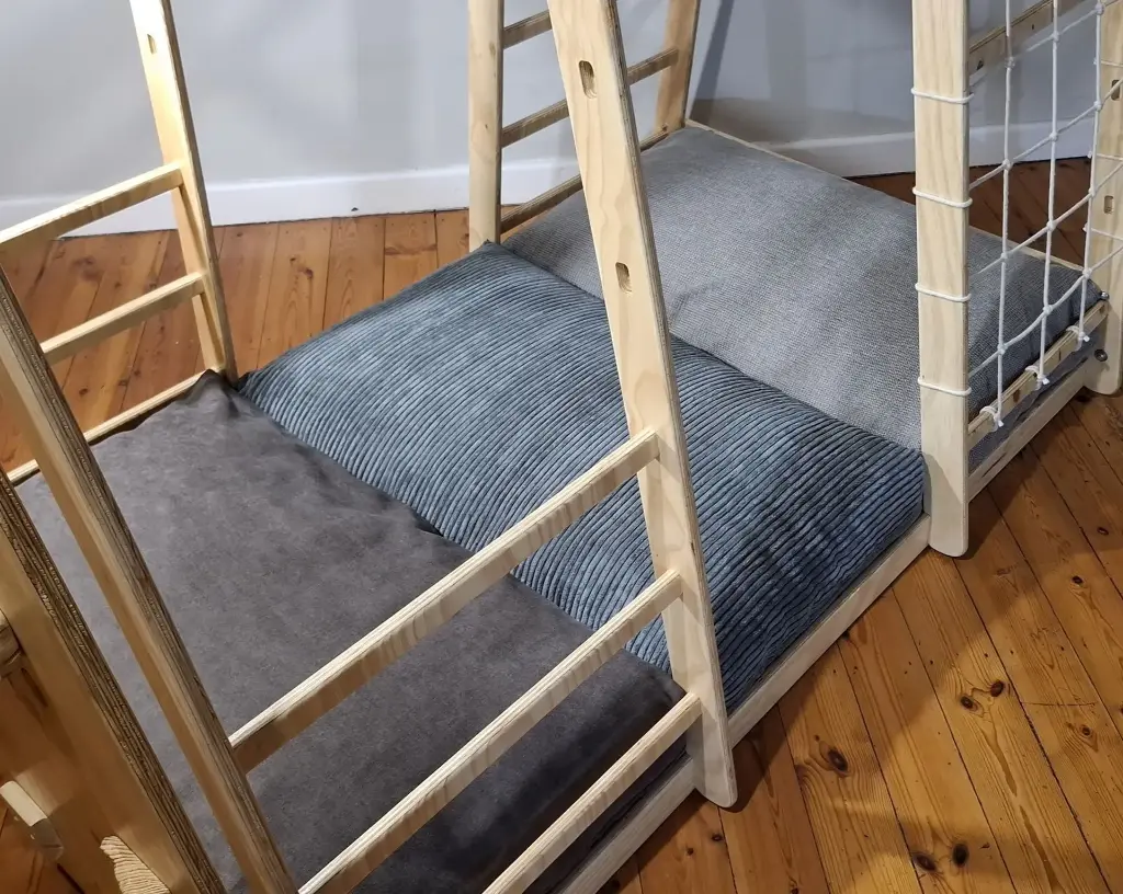 Cushion